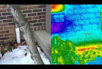 Thermal Imaging of Rim Joist 