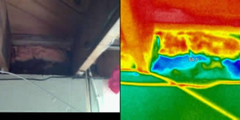 Thermal Imaging Rim Joist 